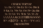 Birveli || Modern Classy Serif Font, a Serif Font by Ermedia Studio (Thumbnail 10 of 11)