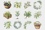 Watercolor Olive Clipart, a Seasonal Illustration by Design Market (Thumbnail 2 of 5)