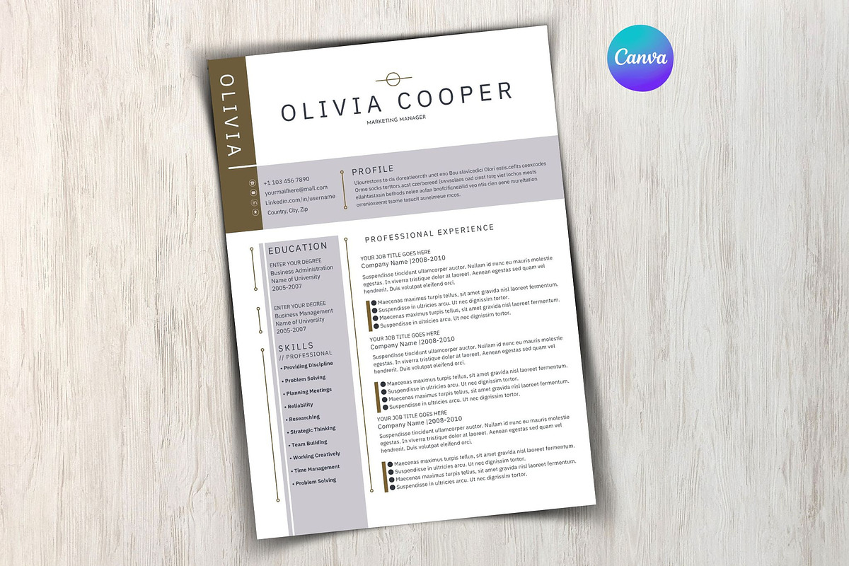 Modern Executive Resume Template, a Templates & Theme by iloveTemplate (Photo 5 of 5)