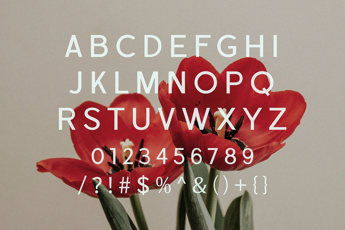 Cardio - Modern Sans Serif Font, a Sans Serif Font by TypeLogue (Photo 4 of 5)