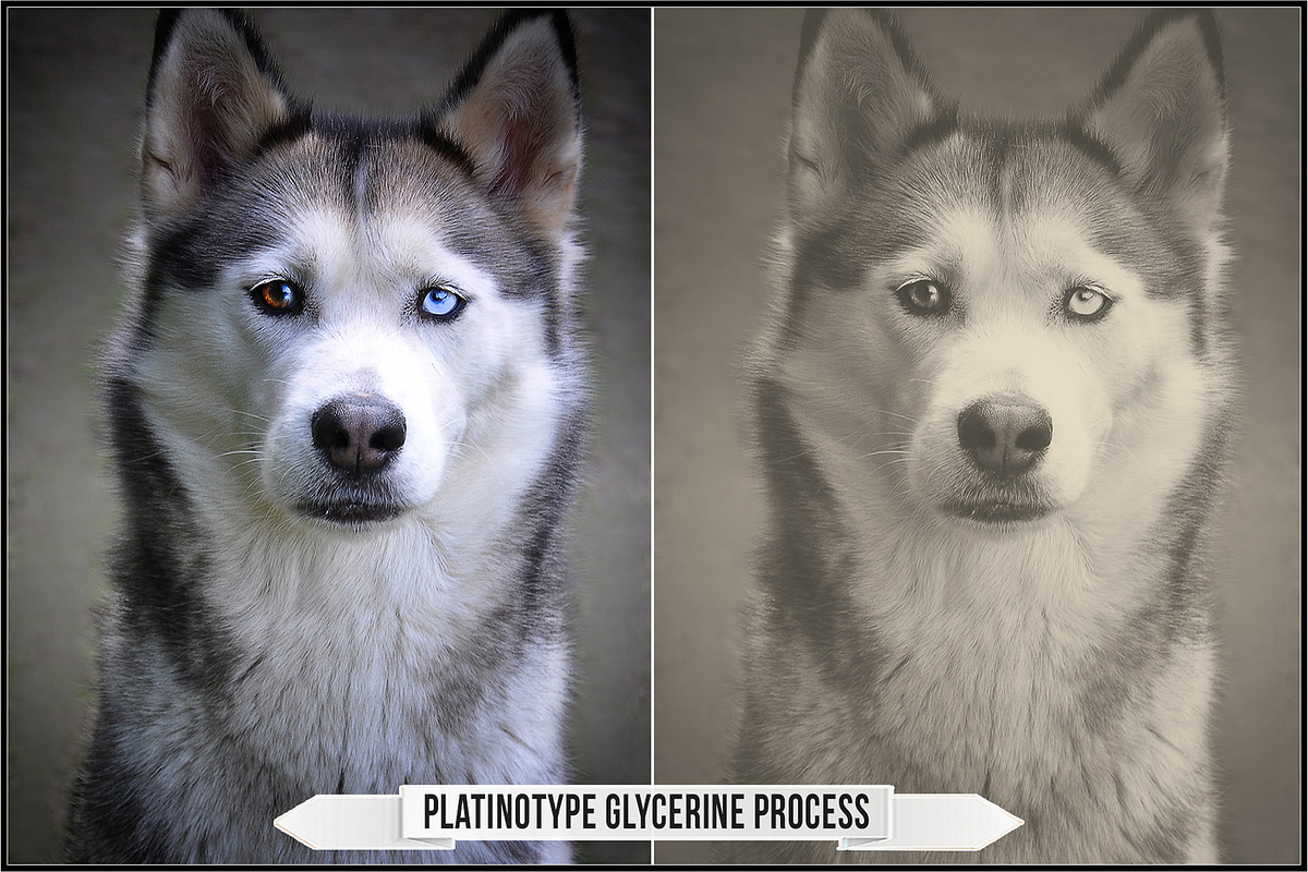 Platinum Palladium Prints LUTs, a Plug-in Add-On by Raztrend (Photo 20 of 32)