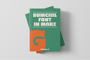 SG - BUMCHIL, a Font by Studio Gulden (Thumbnail 10 of 12)
