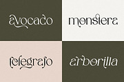 Spadore | 6 Font Files, a Serif Font by Pista Mova (Thumbnail 7 of 18)