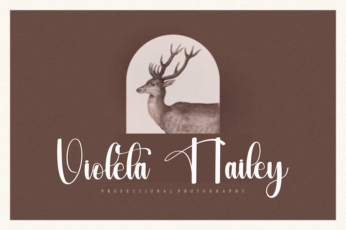 Swanky Farmhouse, a Handwritten Font by FreshTypeINK (Photo 2 of 8)