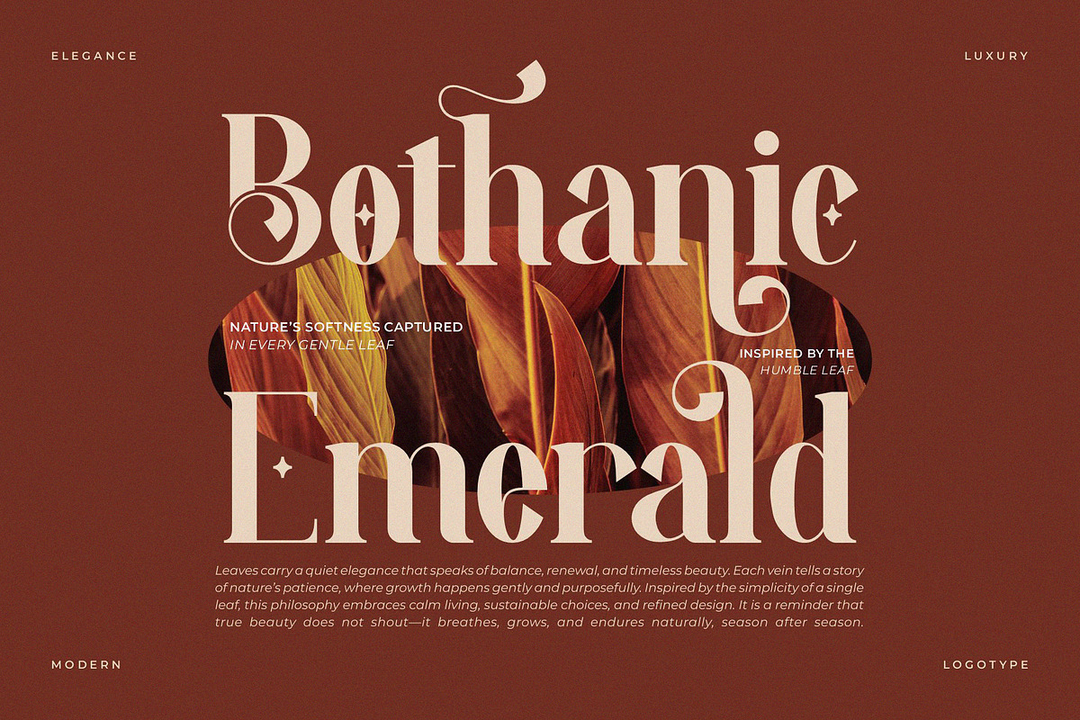 Vendita || Modern Elegant Serif Font, a Sans Serif Font by Ermedia Studio (Photo 8 of 10)