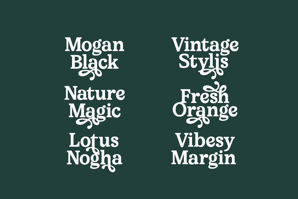 Upland Calling Display Serif, a Serif Font by timelesstype.co (Photo 13 of 20)
