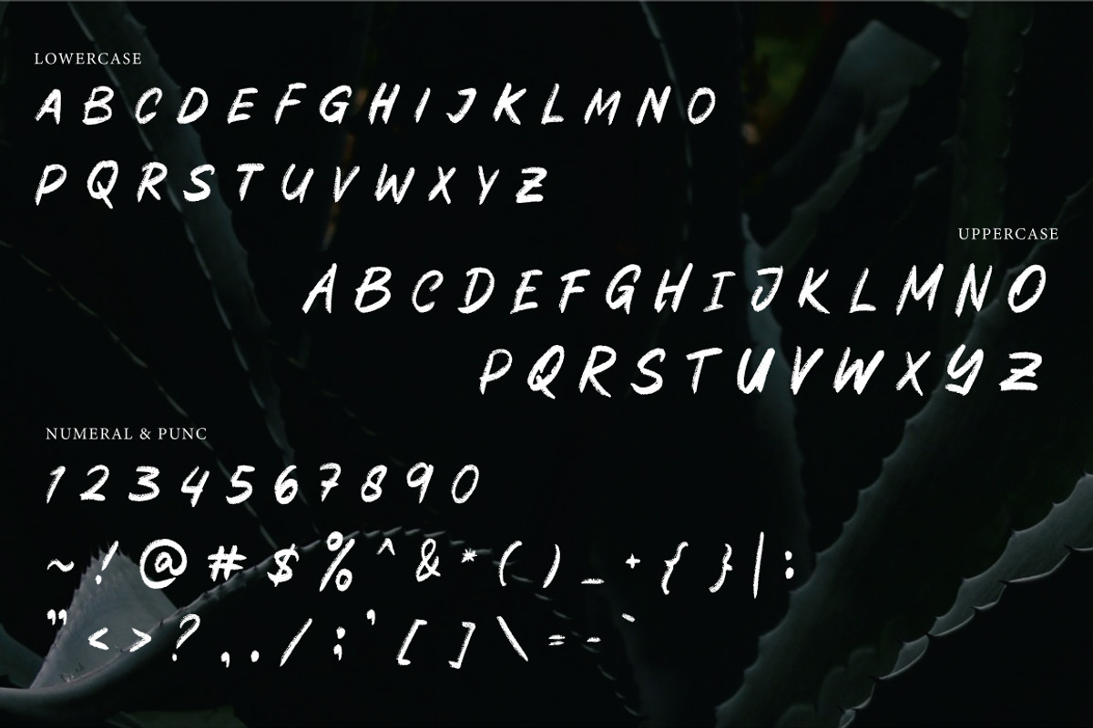 Sheets Cheats - Handwritten Brush, a Handwritten Font by tebaltipislab (Photo 6 of 10)