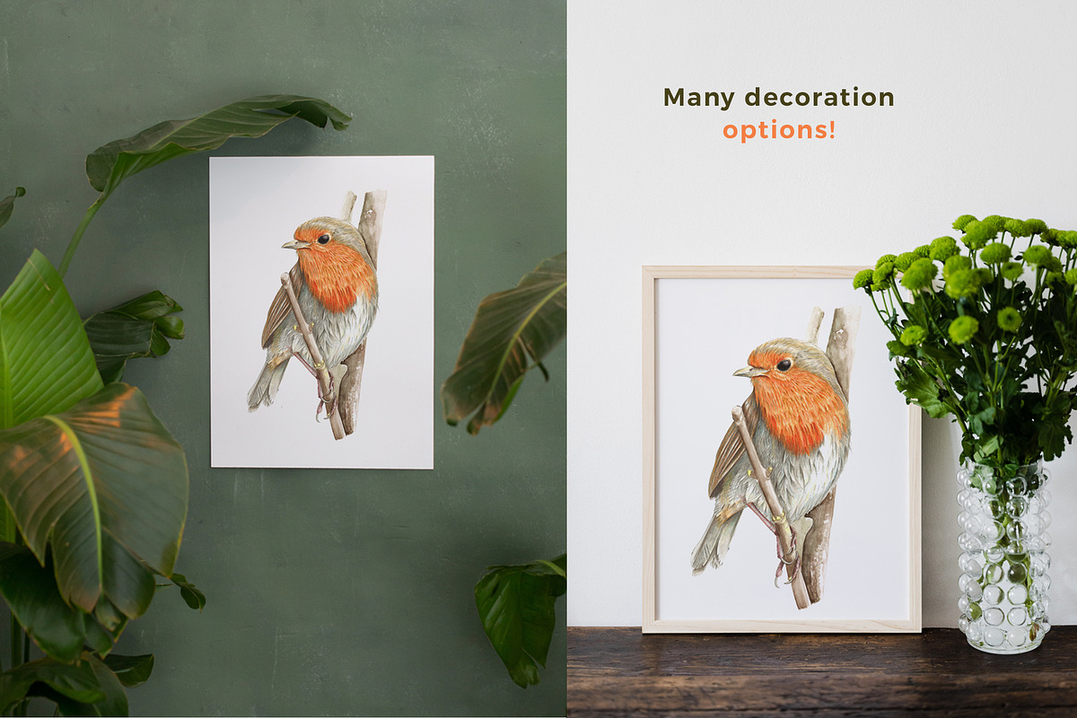 Beautiful Hand-painted Red Robin, a Decorative Illustration by Miriam Figueras (Photo 4 of 4)