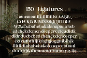 Refined Society - Vintage Typeface, a Serif Font by HipFonts (Thumbnail 2 of 14)