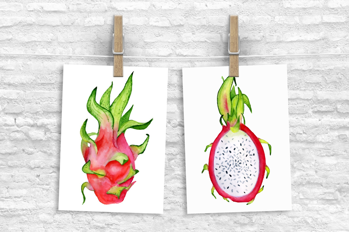 Watercolor tropical fruits clipart, a Food Illustration by Evgeniia (Photo 10 of 10)