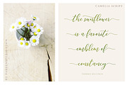 Camelia Script, a Script Font by Fargun Studio (Thumbnail 6 of 14)