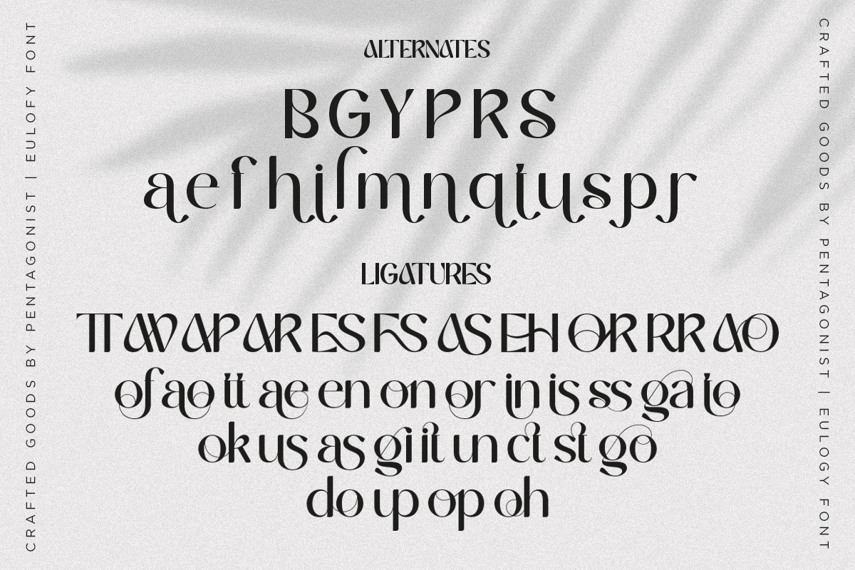 Eulogy | Variable Font Family, a Serif Font by Pentagonistudio (Photo 8 of 9)