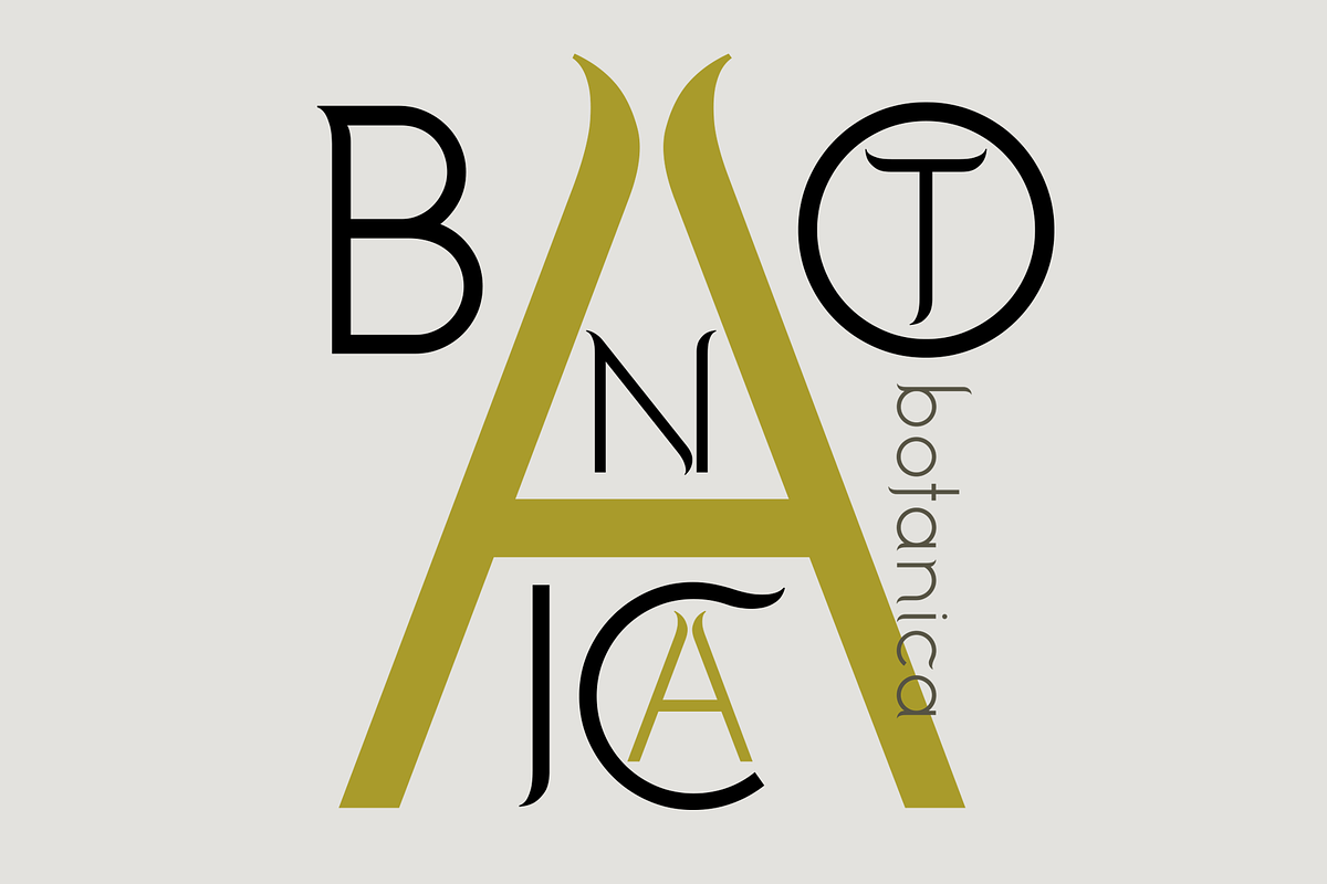 Botanica. Stylish modern and classic, a Sans Serif Font by LostandFoundry (Photo 3 of 6)