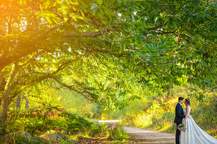 Just married couple a green forest, a Person Photo by rubenchase