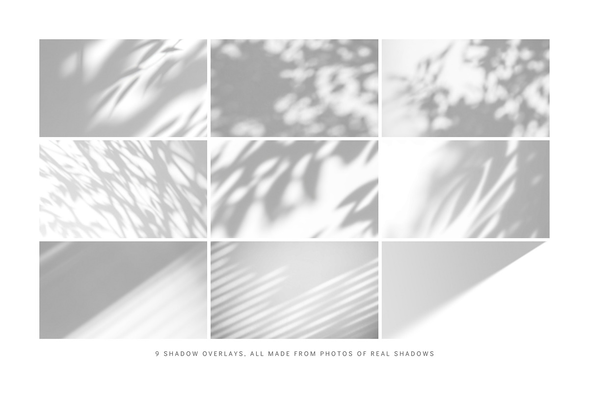 A4, A5, A6 Paper Mockup Set | 02-01, a Mockup by DESIGN BY nube (Photo 8 of 10)