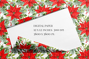 Poinsettia seamless pattern png., a Pattern Graphic by ARTVracovska (Thumbnail 6 of 6)