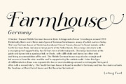 Letings, a Serif Font by Sulthan Studio (Thumbnail 5 of 8)