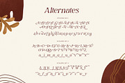 Mahony Browns Typeface, a Serif Font by alit design (Thumbnail 7 of 15)