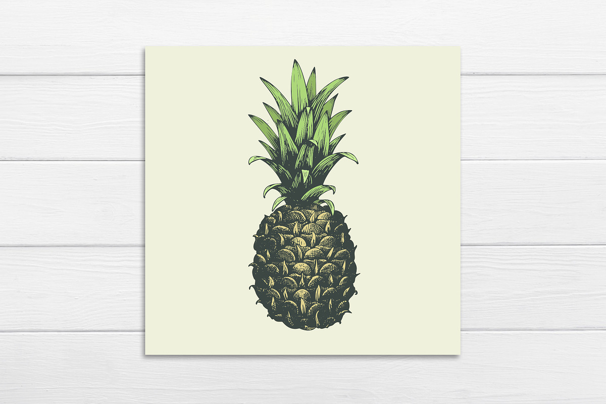 Pineapple Vector Collection, a Food Illustration by Lubov Illustrations Shop (Photo 6 of 6)