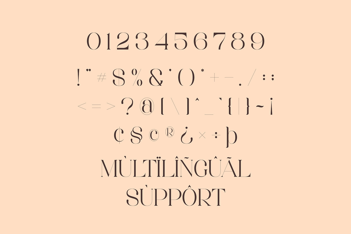 Roeska - Modern Serif Font, a Serif Font by Aqeel_Art (Photo 11 of 12)