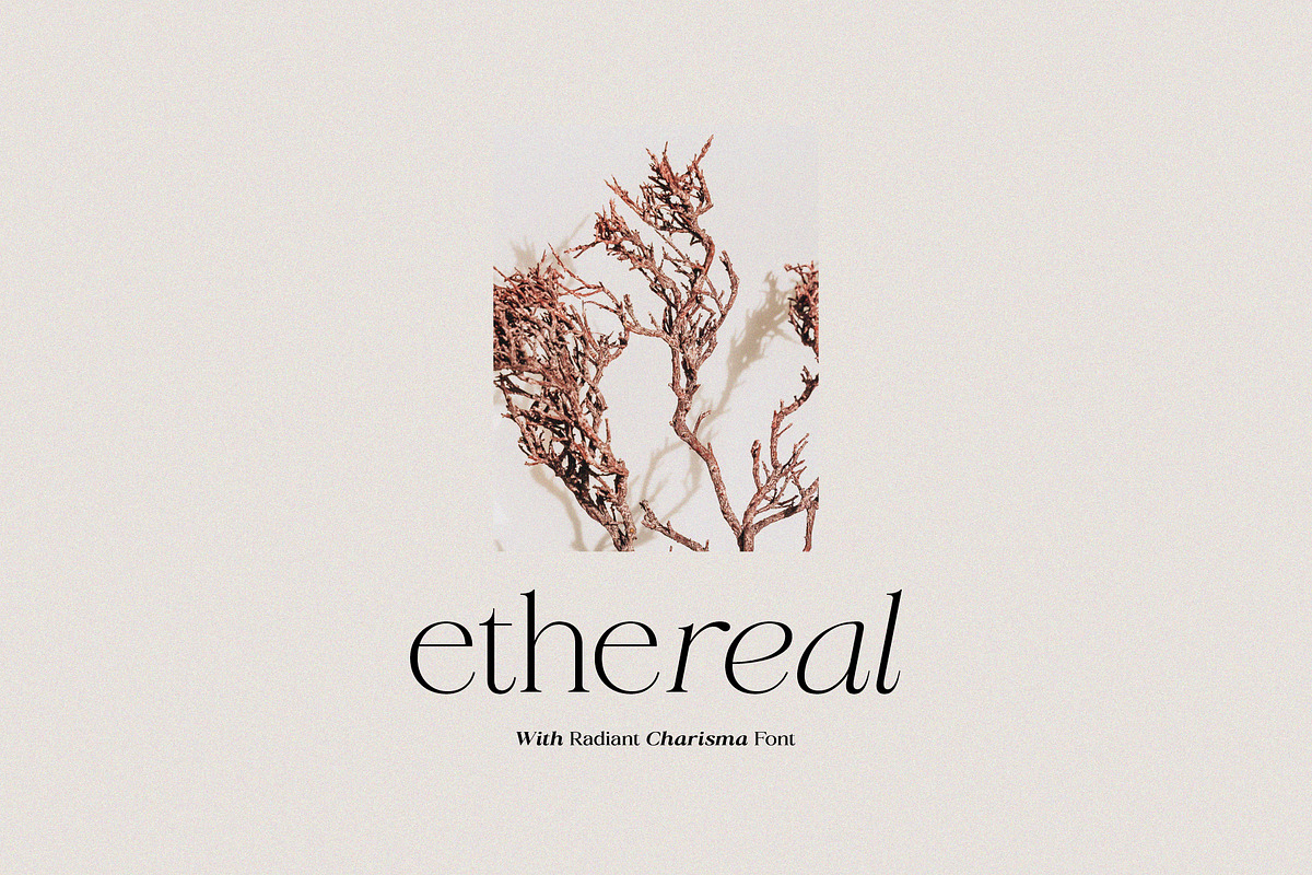 Radiant Charisma - Serif Family, a Serif Font by Prioritype Co (Photo 6 of 10)