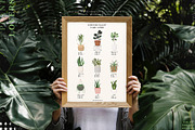 Plant Lovers Collection, a Texture Illustration by Julia Dreams (Thumbnail 3 of 12)