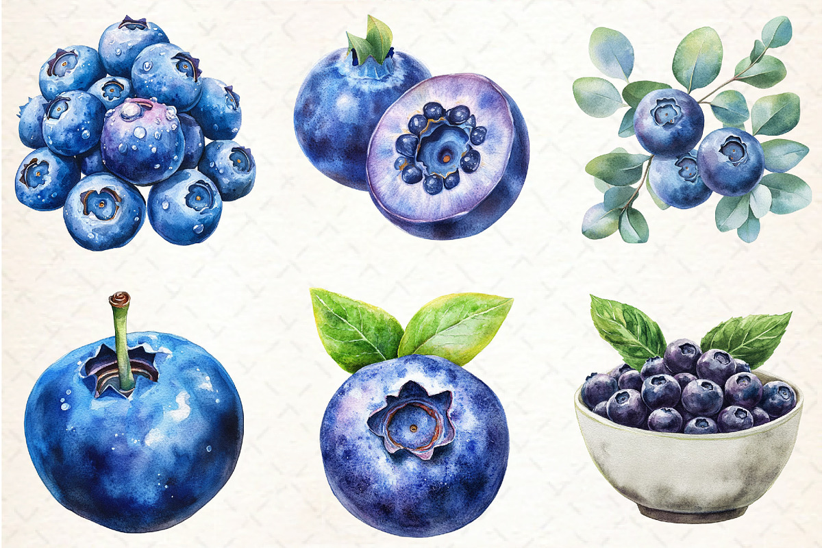 Watercolor Blueberries Clipart, an Illustration by Libby Wishes (Photo 11 of 11)