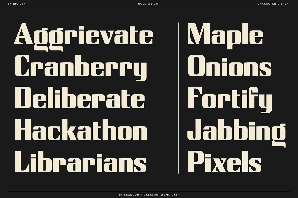 Rigidly - Thoughtfully Geometric, a Sans Serif Font by Bnick (Photo 3 of 13)