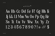 Aikonig | Modern Serif Font, a Serif Font by Denustudios (Thumbnail 14 of 15)