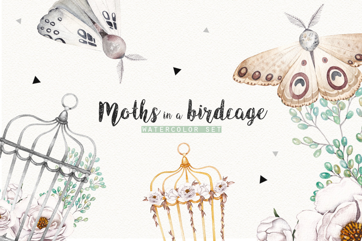 MOTHS and BIRDCAGE watercolor set, an Illustration by Natali Smolova (Photo 1 of 7)