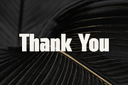 Mailgold - A Bold Sans Serif, a Sans Serif Font by TypeLogue (Thumbnail 5 of 5)