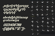 Madlin - Ligature Serif Font, a Serif Font by Luna Shop (Thumbnail 2 of 6)