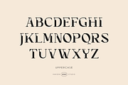 Tittowest Modern - Vintage Typeface, a Slab Serif Font by Haksen (Thumbnail 9 of 12)