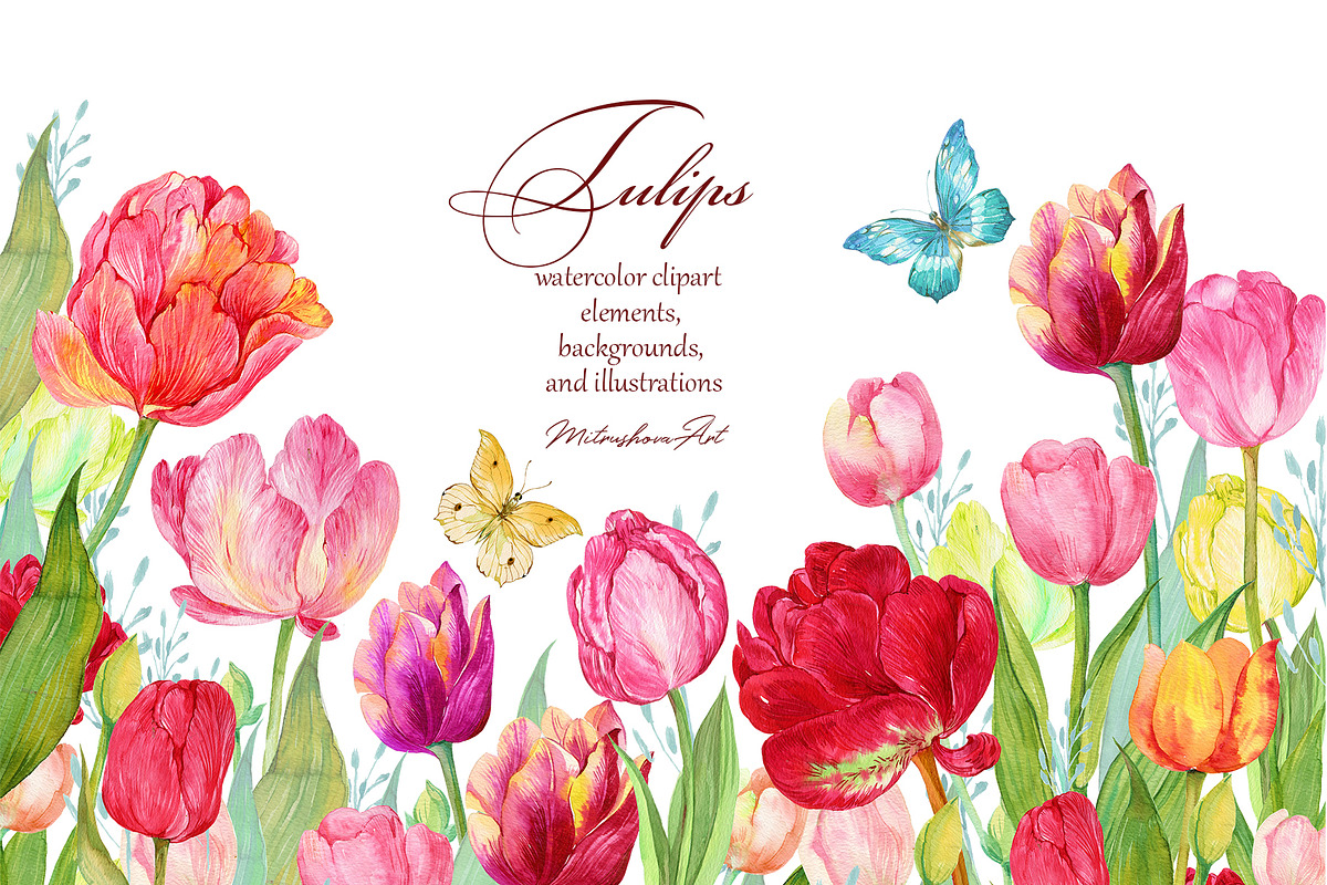 Tulips Clipart Watercolor, a Background Graphic by MitrushovaArt (Photo 1 of 4)