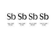 Griggs Variable Typeface, a Serif Font by Seniors (Thumbnail 5 of 10)