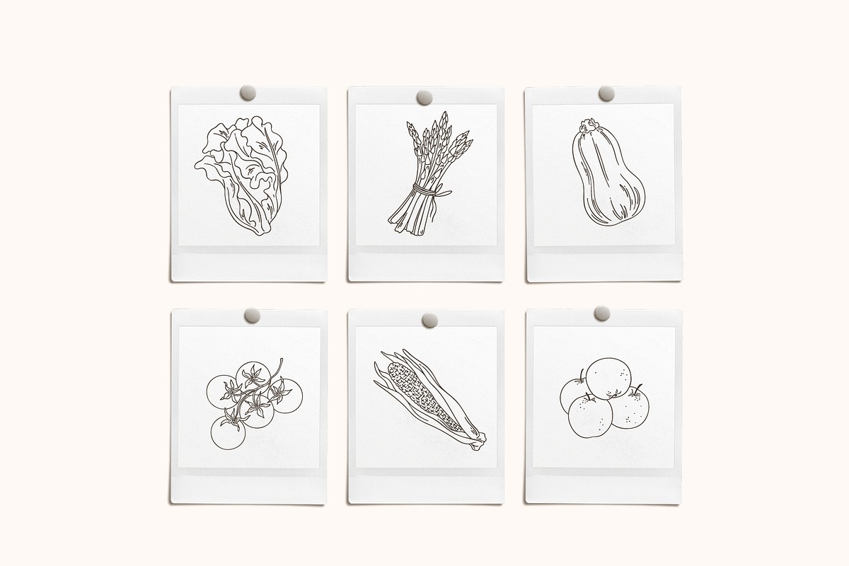 Farmer's Market Vector Illustrations, a Decorative Illustration by Emma Webb Studio (Photo 5 of 8)