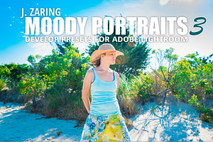 Moody Portraits 3 Lightroom Presets