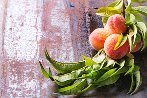 Peaches on branch featuring peach, tree, and branch, a Food & Drink Photo by Natasha Breen