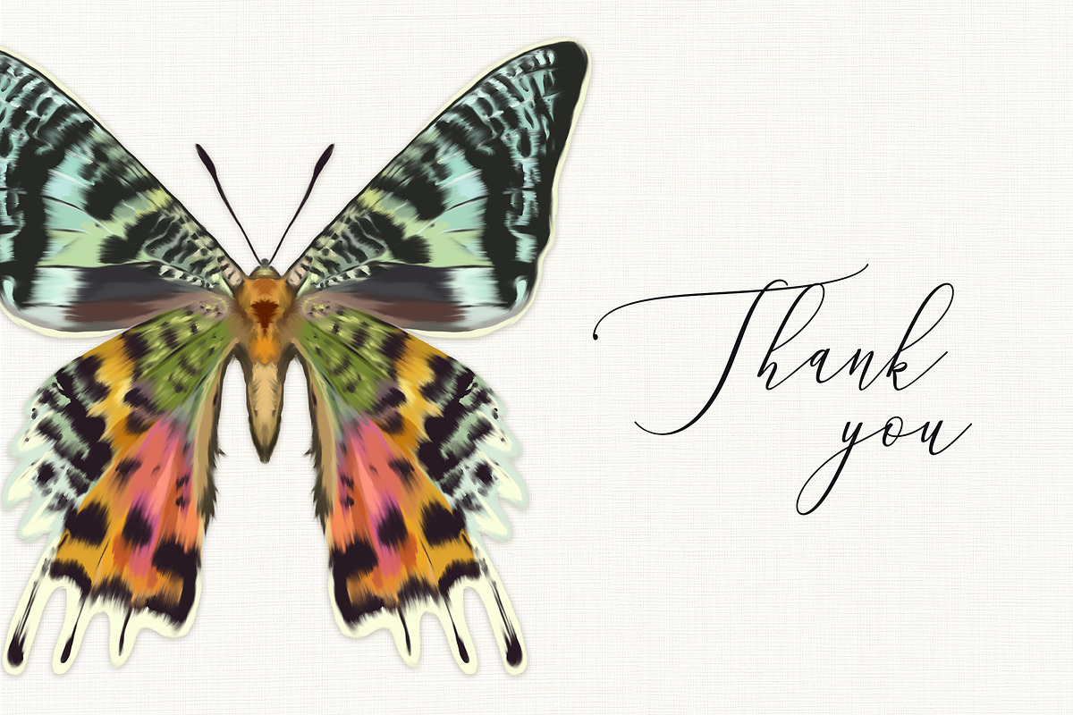 15 Hand Painted Butterflies, an Animal Illustration by Brianna Perdue (Photo 3 of 3)