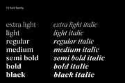 Silk Serif Text - 14 Font Family, a Serif Font by Silktype (Thumbnail 4 of 14)