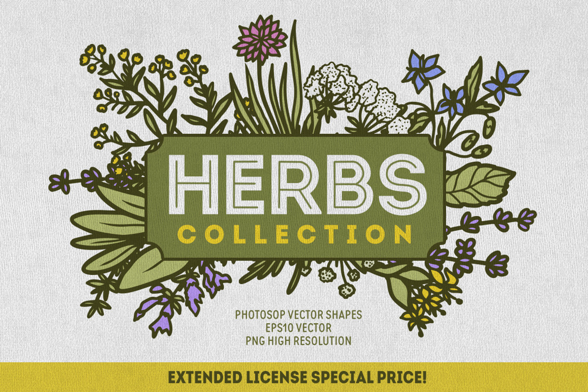 Herbs Collection, a Food Illustration by Chelovector (Photo 1 of 4)