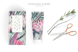 Protea, Patterns And Motifs Set