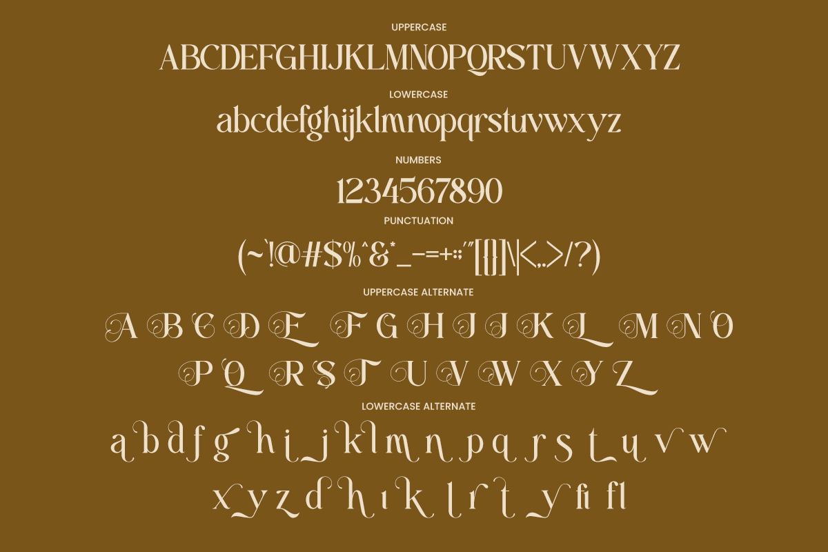 Beauty Luxury Serif Font - Anolera, a Serif Font by Font Liner (Photo 10 of 10)