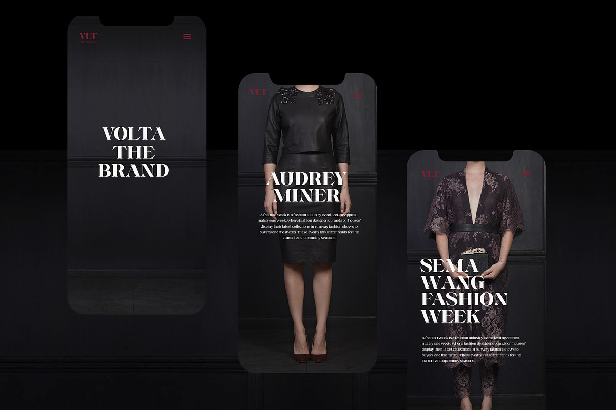 Voire - Elegant Serif family, a Serif Font by creativemedialab (Photo 5 of 21)