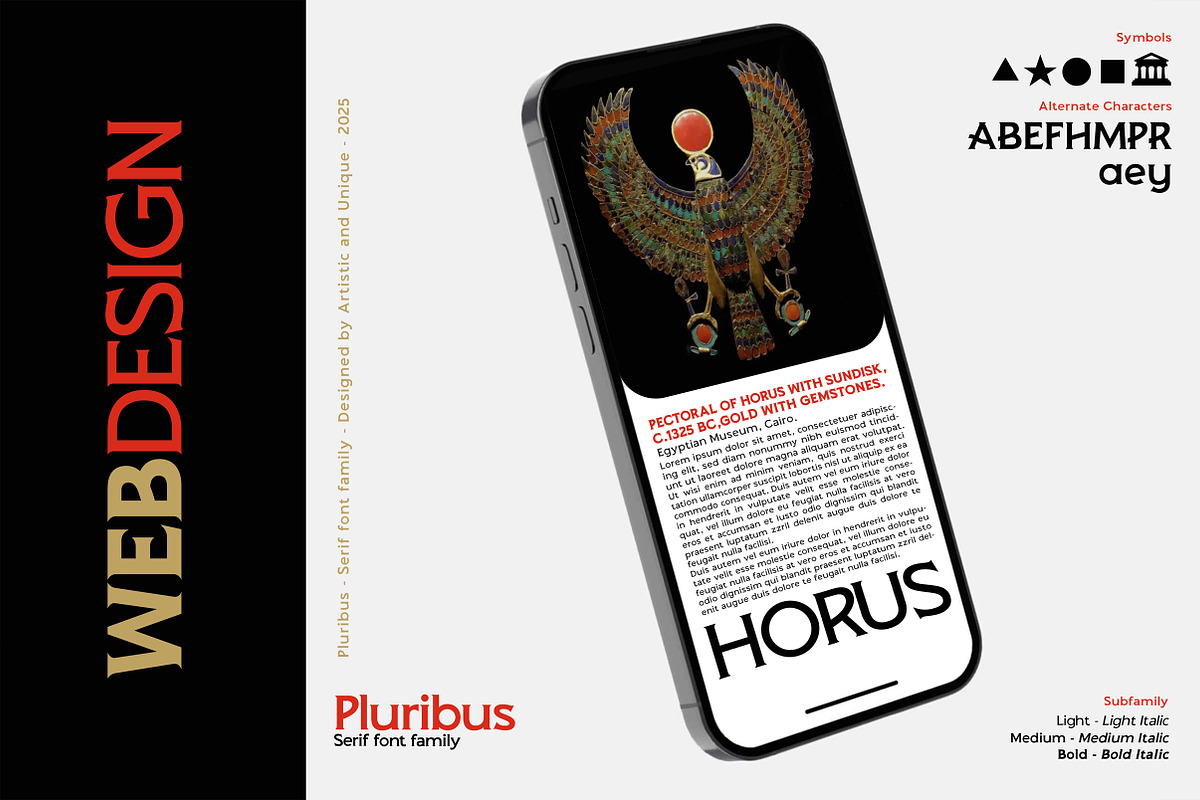 Pluribus - Serif font family, a Serif Font by Artistic & Unique (Photo 14 of 15)
