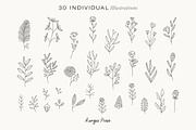 Wildflowers Line Art Botanicals, an Illustration by LifestyleCraftCo (Thumbnail 2 of 6)
