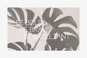 Santario | a serif font, a Serif Font by white supply (Thumbnail 2 of 3)