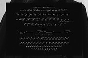 Saltngos Modern Calligraphy, a Script Font by Letterena Studios Script (Thumbnail 14 of 15)