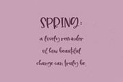 Plum Cobbler Handwritten Font, a Script Font by Beck McCormick (Thumbnail 6 of 10)