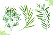 Watercolor tropical leaves set#2., a Decorative Illustration by AlexGreenArt (Thumbnail 6 of 7)